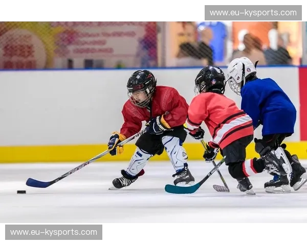 赛程冰球：让每一场比赛成为你的节日